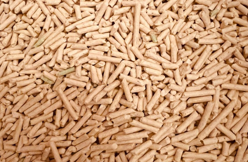 Z czego i jak powstaje pellet drzewny? Od trocin do gotowego granulatu