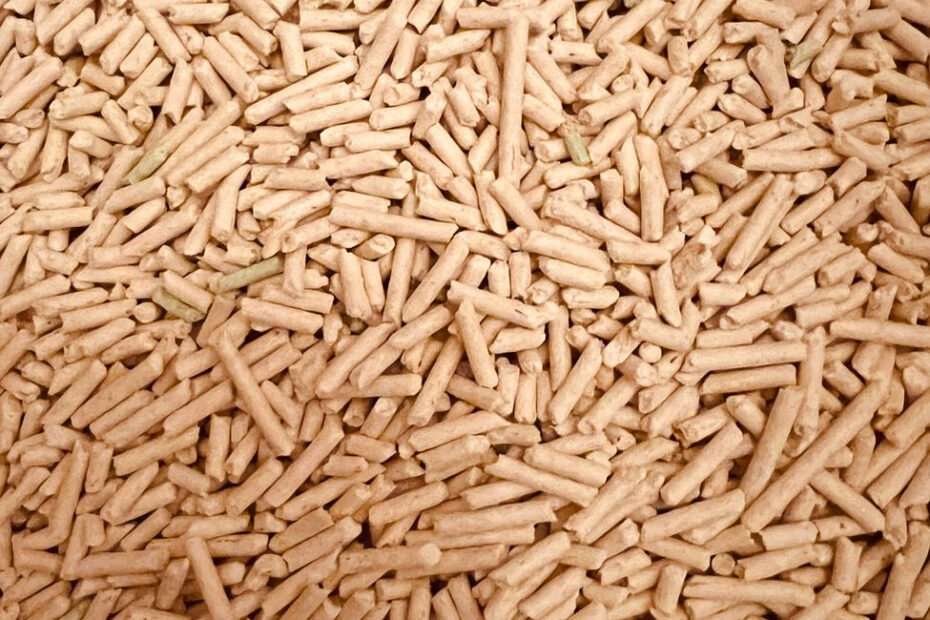 Z czego i jak powstaje pellet drzewny? Od trocin do gotowego granulatu