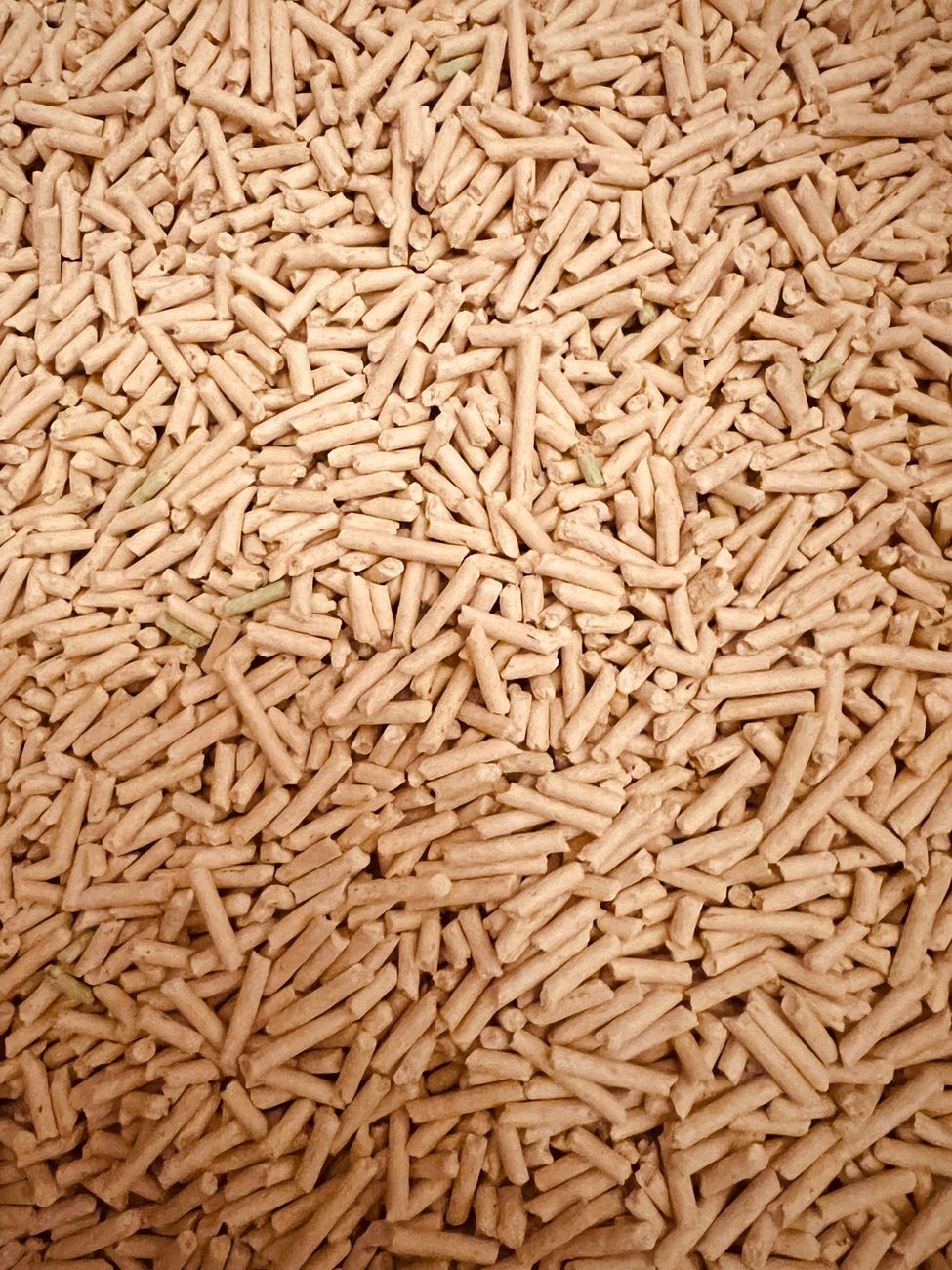 Z czego i jak powstaje pellet drzewny? Od trocin do gotowego granulatu